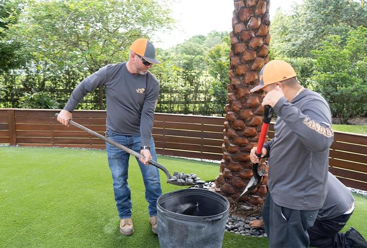 Team member planting a palm tree