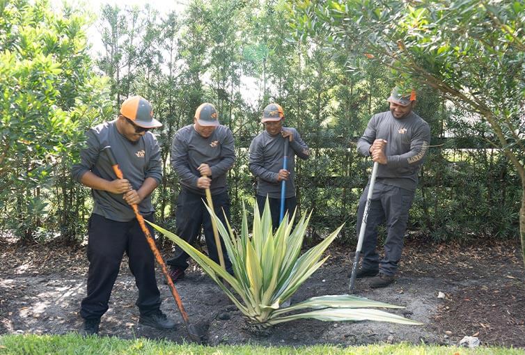 Team members planting a palm trees